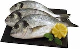 Dorade Royal Angebote bei EDEKA Kempten für 1,79 €
