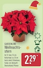 Weihnachtsstern von GARDENLINE für 2,29 € bei ALDI Nord im Angebot Weihnachtsstern von GARDENLINE im aktuellen ALDI Nord Prospekt