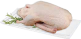 Marktkauf Drense - Frische Markeruper Barbarie-Ente Angebot im Prospekt Frische Markeruper Barbarie-Ente bei Marktkauf im Drense Prospekt für 11,90 €