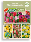Aktuelle Blumen Angebote bei Netto Marken-Discount in Jena Aktuelles Blumenzwiebeln Angebot bei Netto Marken-Discount in Jena ab 0,99 €