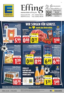 Aktueller EDEKA Prospekt "Aktuelle Angebote" für Gronau (Westfalen) Aktueller EDEKA Prospekt für Gronau (Westfalen) mit Seiten