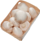 Champignons weiß von  im aktuellen tegut Prospekt für 1,49 €