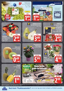 Blumen im EDEKA Prospekt "Top Angebote" mit 21 Seiten (Lübeck)