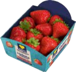 EDEKA Frischemarkt Hohenfelde - Erdbeeren Angebot im Prospekt Erdbeeren bei EDEKA Frischemarkt im Hohenfelde Prospekt für 2,99 €