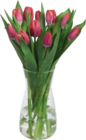 Zwei Bund Tulpen Angebote bei tegut Erfurt für 10,00 €