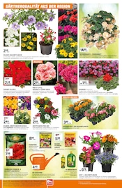 Aktueller OBI Prospekt mit Dünger, "GROSSER GÄRTNERMARKT", Seite 2