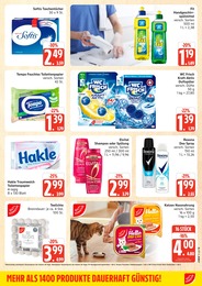 Marktkauf Dekoration im Prospekt 