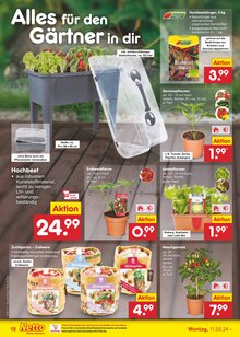 Netto MarkenDiscount Blumen Angebot ᐅ Finde den Preis im aktuellen