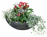 Pflanzarrangement 'Birdy' Angebote bei Dehner Garten-Center Troisdorf für 49,99 €