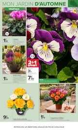 Promos Chrysanthèmes dans le catalogue "JARDIN" de Carrefour Chrysanthèmes en promo dans le catalogue Carrefour à la page 3
