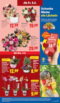 Zimmerpflanzen im Lidl Prospekt "LIDL LOHNT SICH" mit 69 Seiten (Nürnberg)