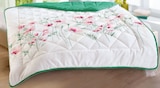 Aktuelles Sommersteppbett Angebot bei ROLLER in Freiburg (Breisgau) ab 7,99 €