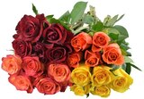 Aktuelles Premium-Rosen Angebot bei REWE in Leverkusen ab 3,99 €