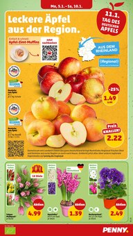 Blumen im Penny Prospekt "Wer günstig will, muss Penny." mit 42 Seiten (Würzburg)