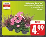 EDEKA Estenfeld - Heidegarten 'Ton in Ton' Angebot im Prospekt Heidegarten 'Ton in Ton' bei EDEKA im Estenfeld Prospekt für 4,99 €