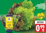Ballensalat-Trio-Mix von EDEKA Regional für 0,99 € bei EDEKA im Angebot Ballensalat-Trio-Mix von EDEKA Regional im aktuellen EDEKA Prospekt