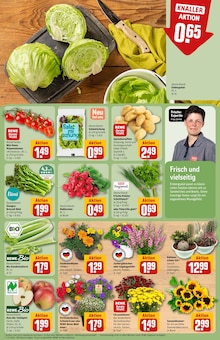 Sellerie im REWE Prospekt "Dein Markt" mit 30 Seiten (Frankfurt (Main))