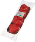 Aktuelle Paprika Angebote bei tegut in Frankfurt (Main) Aktuelles Bio-Paprika rot Angebot bei tegut in Frankfurt (Main) ab 2,99 €