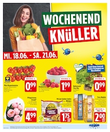 EDEKA Blumen im Prospekt EDEKA Blumen im Prospekt