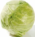 Weißkohl im Angebot bei Netto mit dem Scottie in Rostock Weißkohl Angebote bei Netto mit dem Scottie Rostock für 0,79 €