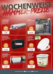 Aktueller BBM Baumarkt Prospekt mit WC, "So schön kann Baumarkt sein", Seite 2