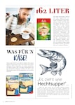Hecht Hecht