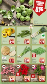 Gemüse im REWE Prospekt in Filderstadt Aktueller REWE Prospekt mit Gemüse, "Dein Markt", Seite 9