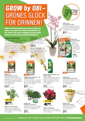 Palme im OBI Prospekt in Berlin Aktueller OBI Prospekt mit Palme, "HERBSTZEIT IST PFLANZZEIT", Seite 18