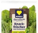 Mini Romana Salat im Marktkauf Prospekt Mini Romana Salat von EDEKA Herzstücke im aktuellen Marktkauf Prospekt für 0,69 €