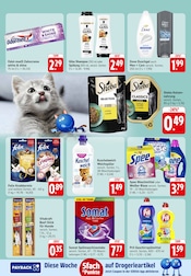 Katzenfutter im EDEKA Prospekt in Ludwigsburg Aktueller EDEKA Prospekt mit Katzenfutter, "Aktuelle Angebote", Seite 28