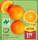 ALDI Nord Kührstedt - Orangen Angebot im Prospekt Orangen bei ALDI Nord im Kührstedt Prospekt für 1,99 €