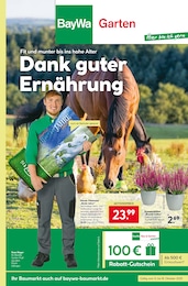 BayWa Bau- und Gartenmärkte Prospekt mit 8 Seiten (Welzheim)