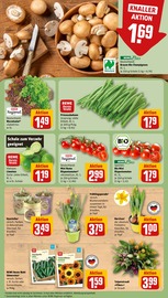 Ähnliche Sonnensegel Angebote im Prospekt "Dein Markt" von REWE in Hückelhoven Ähnliche Angebote wie Sonnensegel im Prospekt "Dein Markt" auf Seite 9 von REWE in Hückelhoven