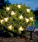 Solar-Lichterkette „Biene“ im aktuellen Thomas Philipps Prospekt