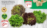 Bunte Salate im Angebot bei GLOBUS in Saarbrücken Bunte Salate Angebote bei GLOBUS Saarbrücken für 0,89 €