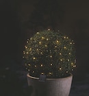 LED-Solar-Lichterkette Angebote von Livarno Home bei Lidl Mannheim für 4,99 €