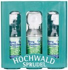Berg Quellen Mineralwasser im Angebot bei REWE in Siegburg Berg Quellen Mineralwasser Angebote von Hochwald bei REWE Siegburg für 2,99 €