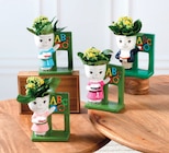 Kalanchoe figurine maîtresse en promo chez Super U Chambéry à 6,99 €