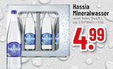 Trinkgut Idstein - Hassia Mineralwasser Angebot im Prospekt Hassia Mineralwasser bei Trinkgut im Idstein Prospekt für 4,99 €