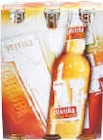 V+ Curuba Tequila Flavour im Angebot bei Netto Marken-Discount in Flensburg V+ Curuba Tequila Flavour Angebote von Veltins bei Netto Marken-Discount Flensburg für 3,79 €