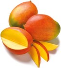 Mango vorgereift Angebote bei Netto mit dem Scottie Greifswald für 1,39 €