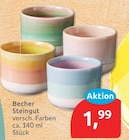 Becher Steingut im aktuellen budni Prospekt