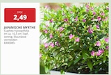Angebot im BBM Baumarkt Parchim Prospekt BBM Baumarkt Parchim Prospekt mit im Angebot für 2,49 €