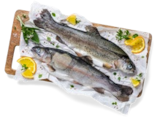 Seelachsfilet im Angebot bei Kaufland in Trier Seelachsfilet Angebote bei Kaufland Trier für 1,69 €