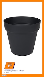 Action Pflanztopf im Prospekt 