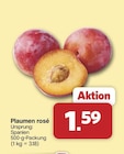 famila Nordwest - Plaumen rosé Angebot im Prospekt Plaumen rosé bei famila Nordwest im Prospekt "" für 1,59 €