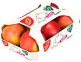 Tafeläpfel Jonagold Angebote von Gut & Günstig bei EDEKA Wismar für 0,99 €