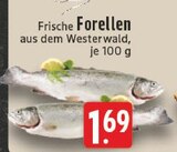 Frische Forellen bei EDEKA im Bad Münstereifel Prospekt für 1,69 €