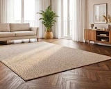 Naturlook-Teppich 'Mora' von  im aktuellen Segmüller Prospekt für 14,99 €