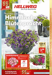 Pflanzen Angebot im aktuellen Hellweg Prospekt auf Seite 11